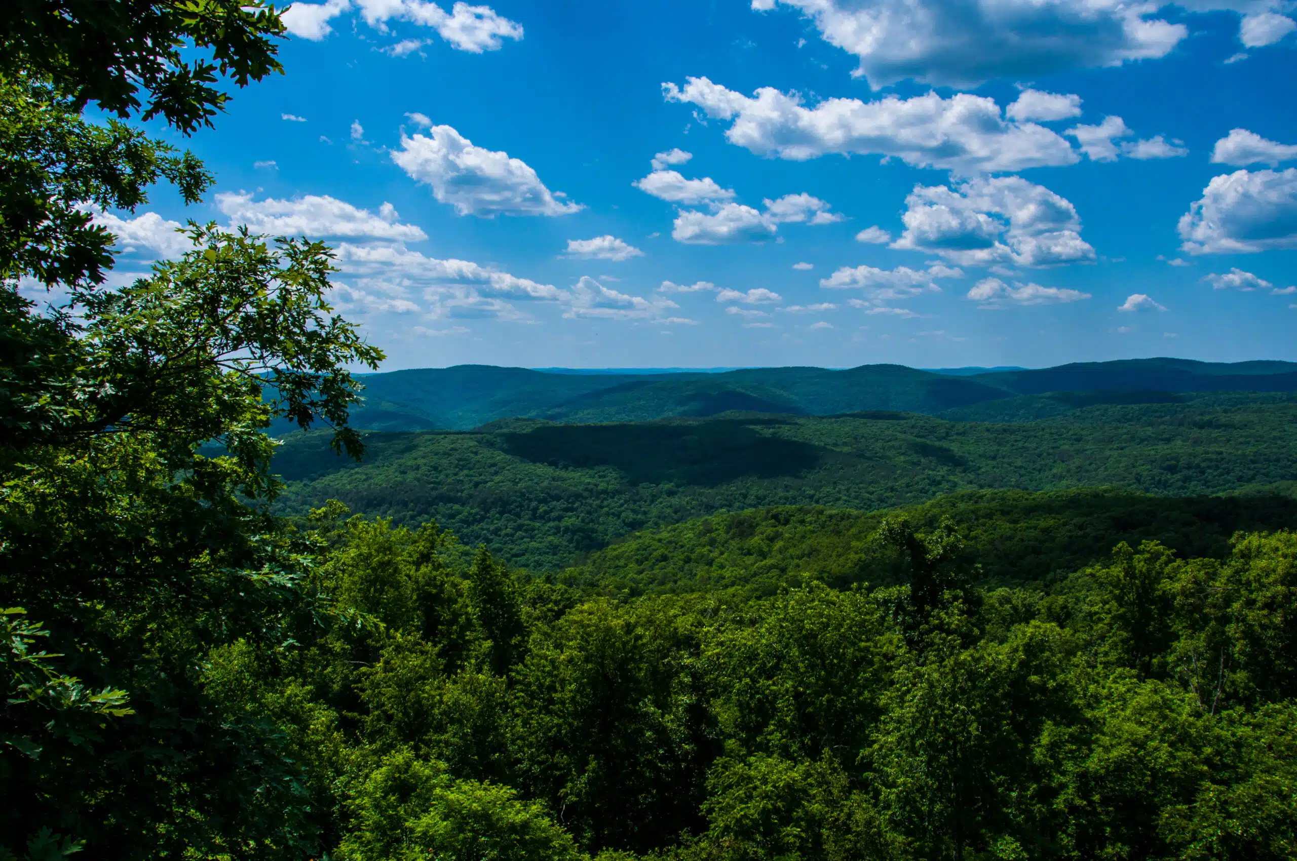 The green hills in the Ozark mountains Arkansas Green State spring time nature landscape USA