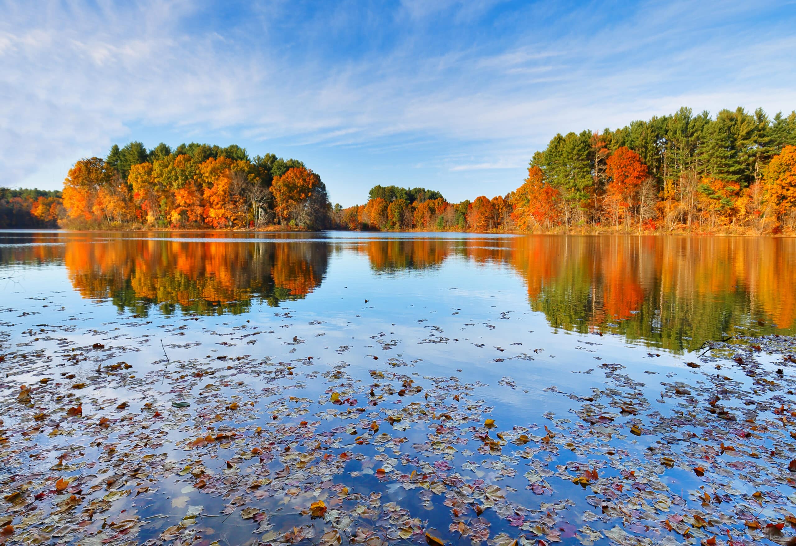 Travel Healthcare Jobs in Massachusetts Beautiful New England Fall Foliage with reflections at sunrise, Boston Massachusetts