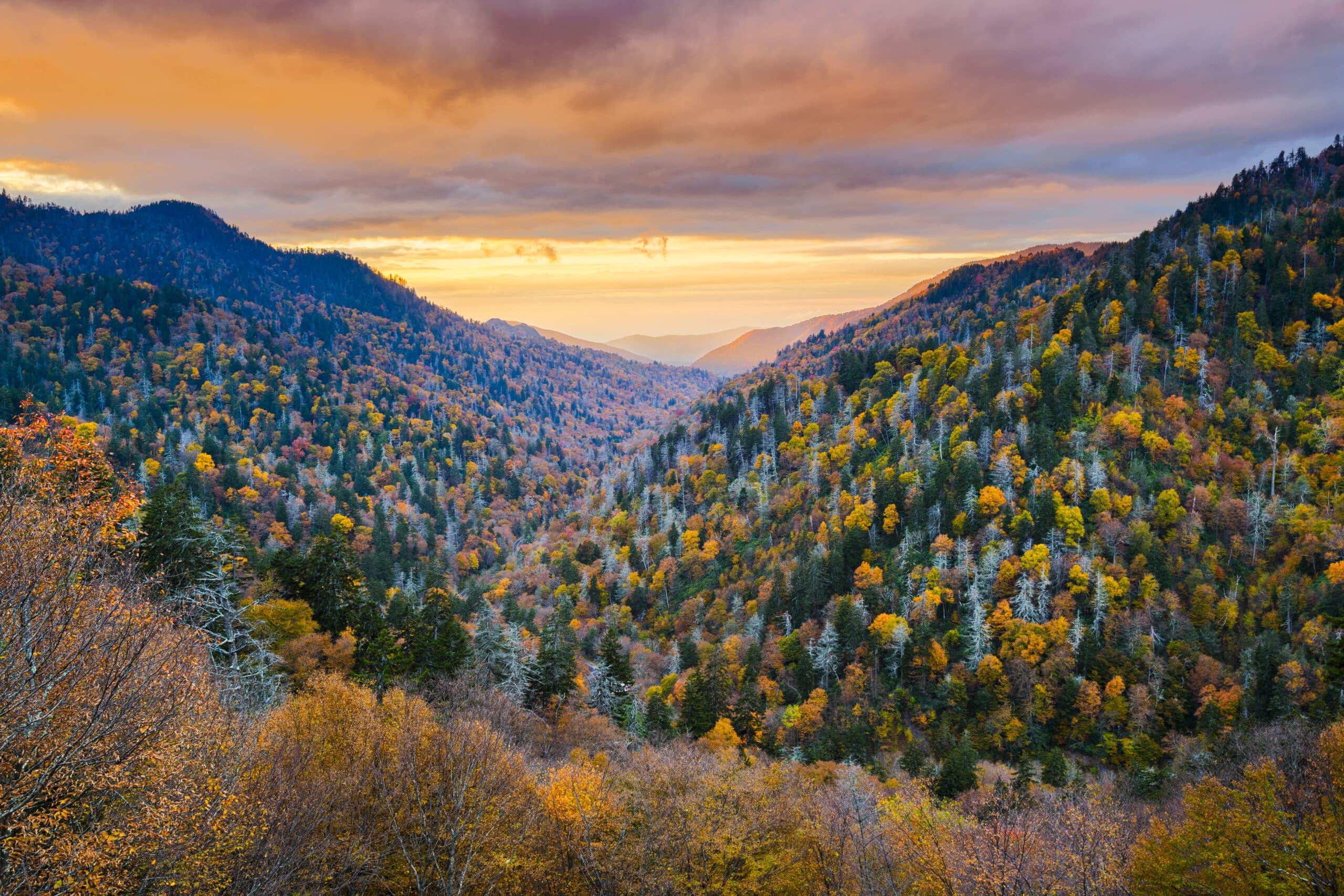 Smoky Mountains National Park, Tennessee, USA autumn landscape at dawn