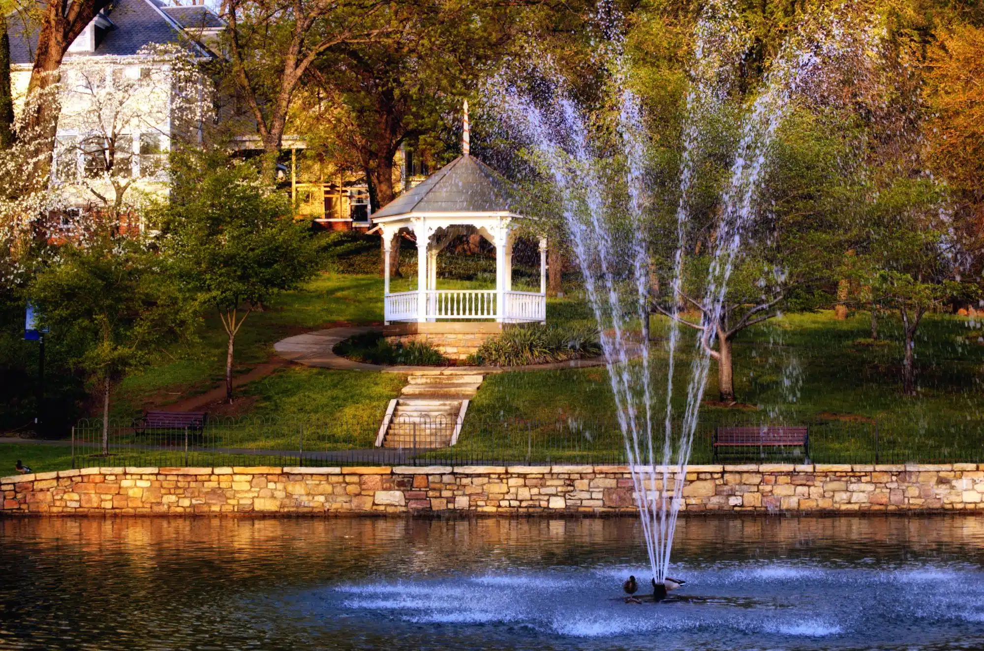 Pond in neighborhood of Salem, VA