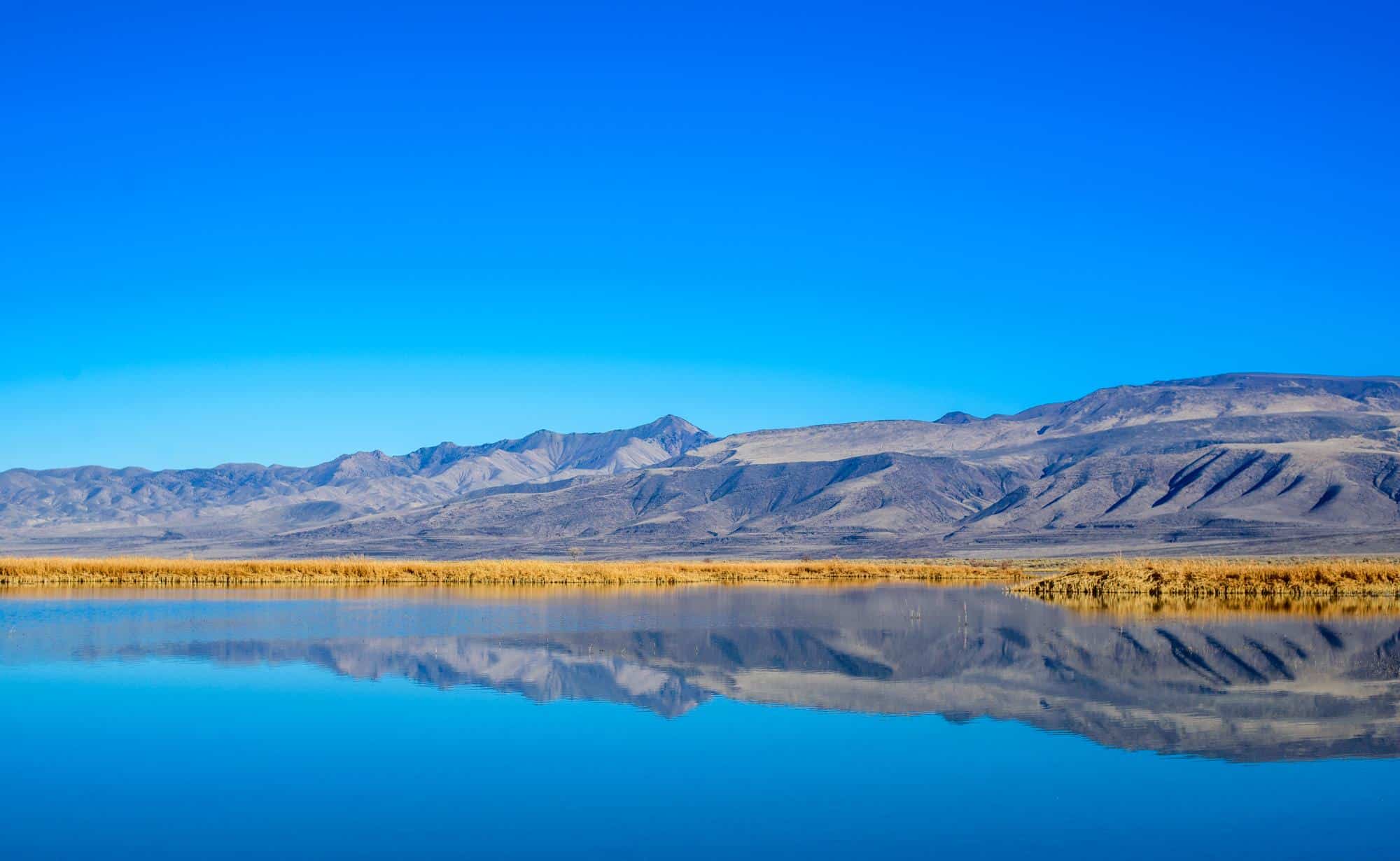 Foxtail Lake part of the important bird habitat in Stillwater National Wildlife Reserve, Churchill County, Nevada, USA